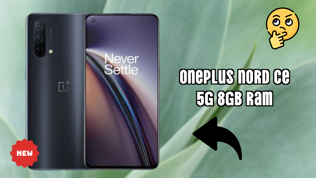 OnePlus Nord CE 5G 8GB RAM Camera Test: 64 MP + 8 MP + 2 MP Rear Camera Sample Shots